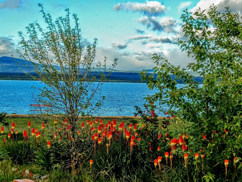 Image uploaded by Catalina
