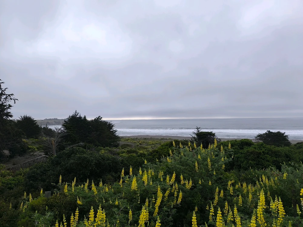 Image uploaded by Catalina