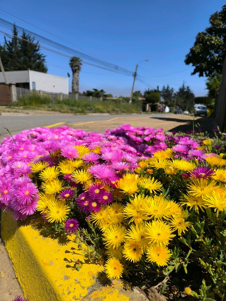 Image uploaded by Catalina