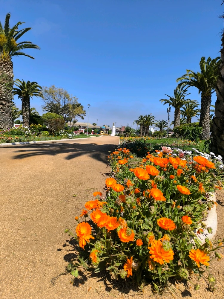 Image uploaded by Catalina