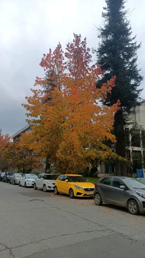 Image uploaded by Catalina