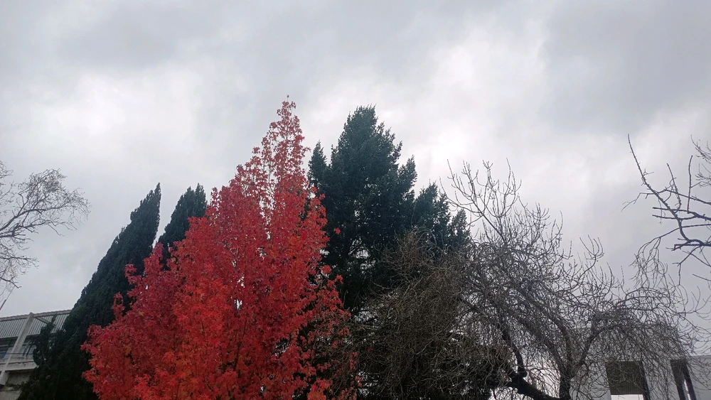 Image uploaded by Catalina