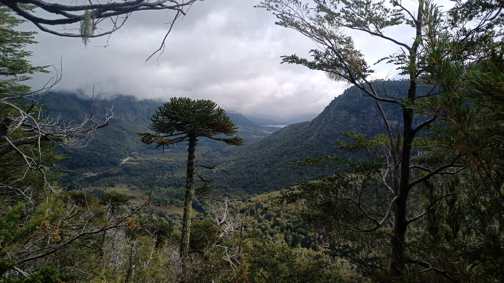 Image uploaded by Catalina