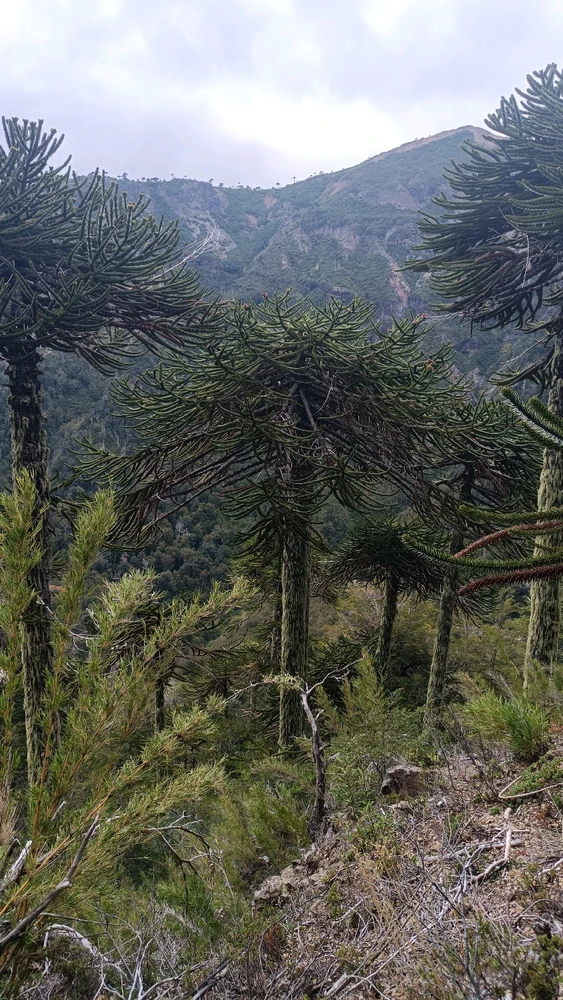 Image uploaded by Catalina