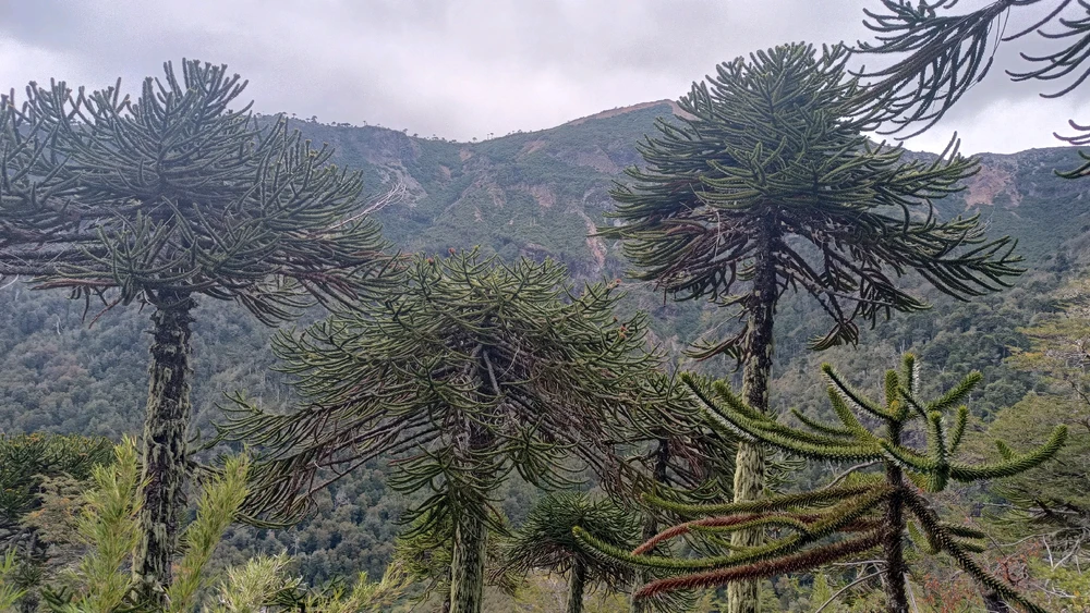Image uploaded by Catalina