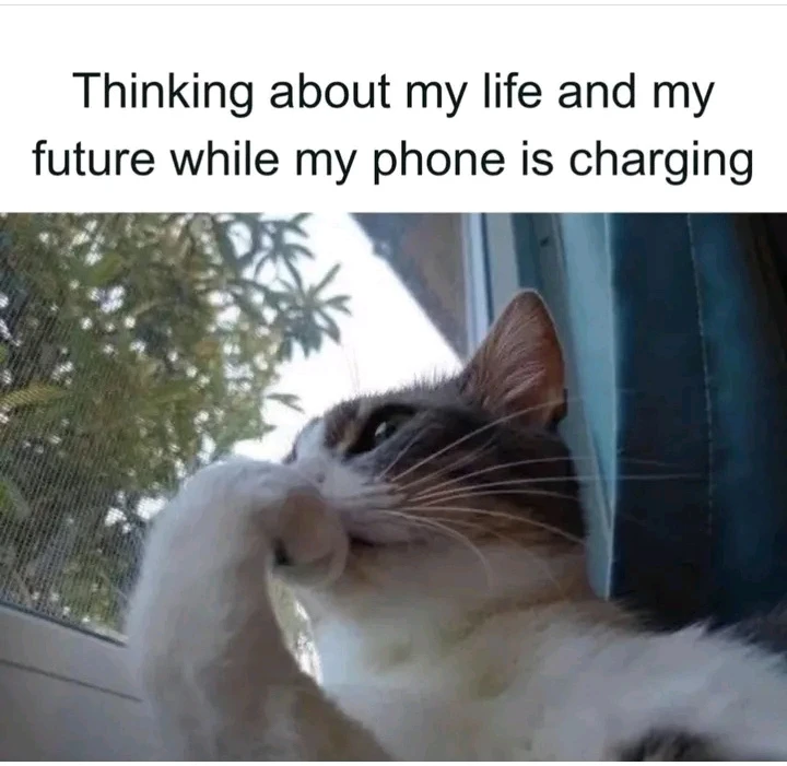 GIF uploaded by Tanwi