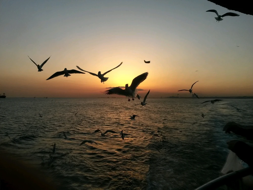 GIF uploaded by Fatih