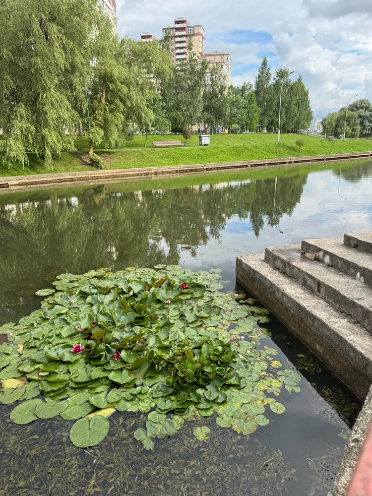 Фото загрузил Татьяна