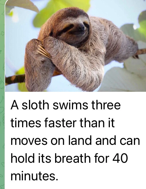 GIF uploaded by Natasha