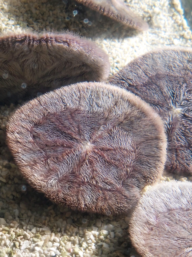 GIF uploaded by Jonathan