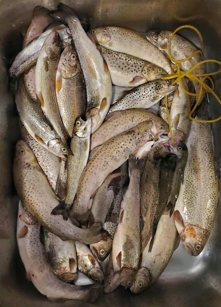 GIF uploaded by Asmir π§π¦