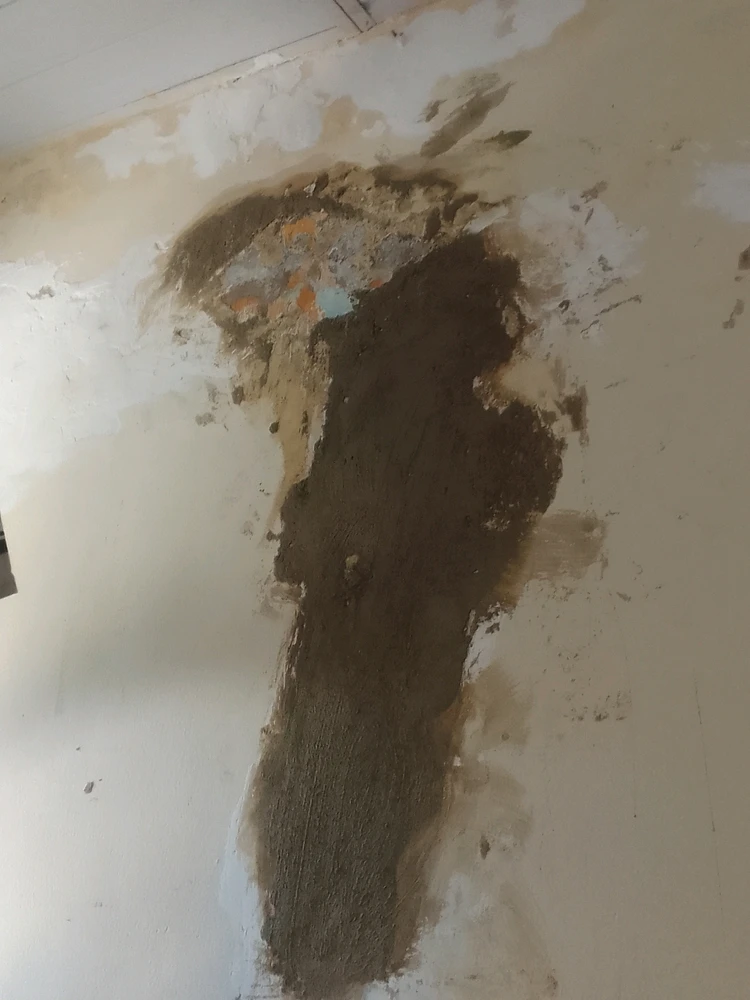 Imagem enviada por Elaine Cristina