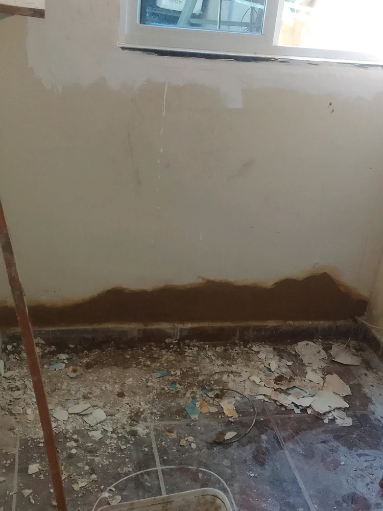 Imagem enviada por Elaine Cristina