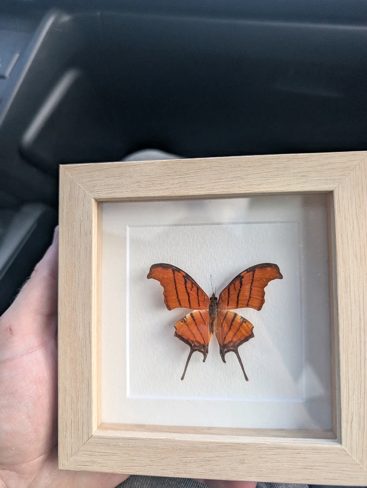 GIF uploaded by Ryan