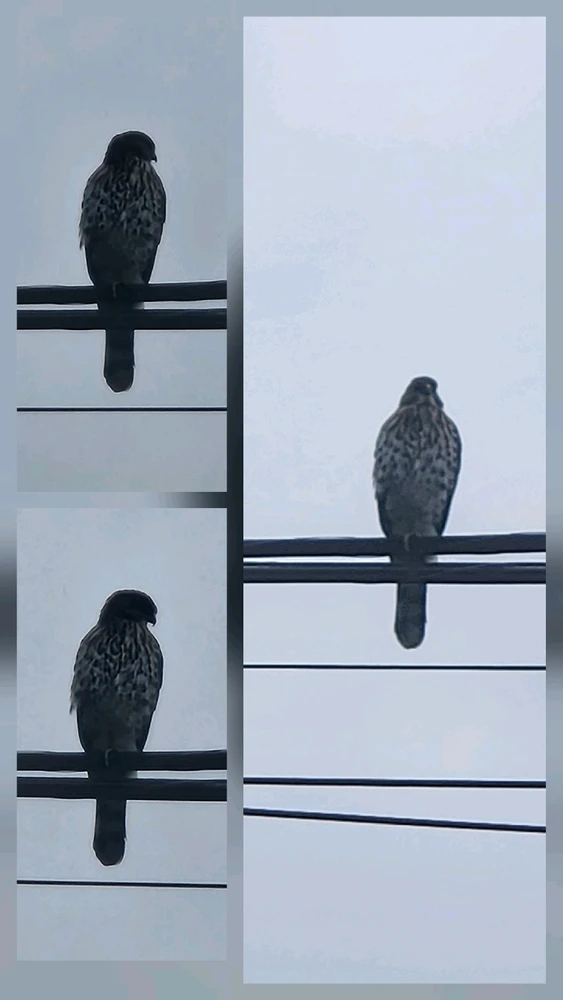 GIF uploaded by Elle