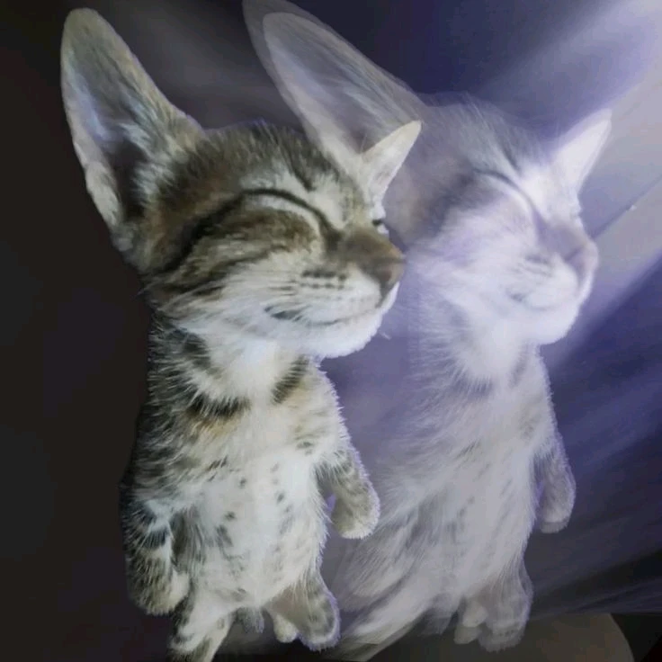 GIF enviado por Geovana