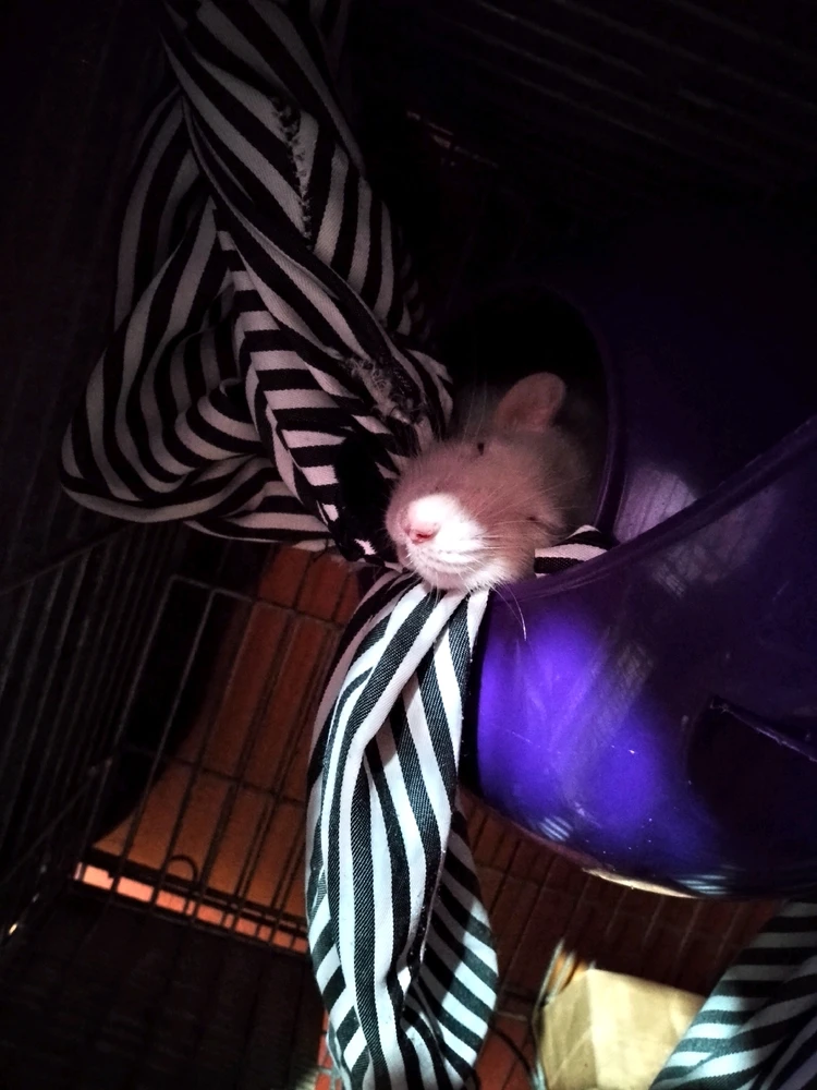 Imagen subida por Belen