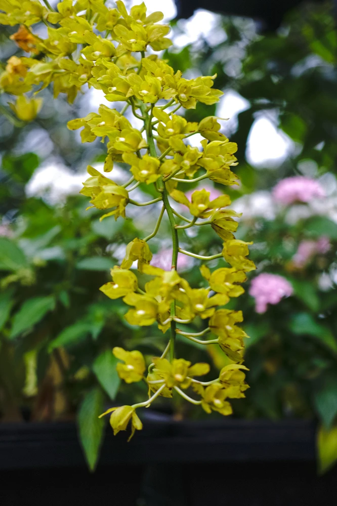 Image uploaded by Alo