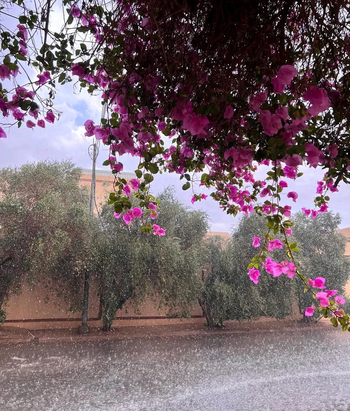 GIF uploaded by Tanwi