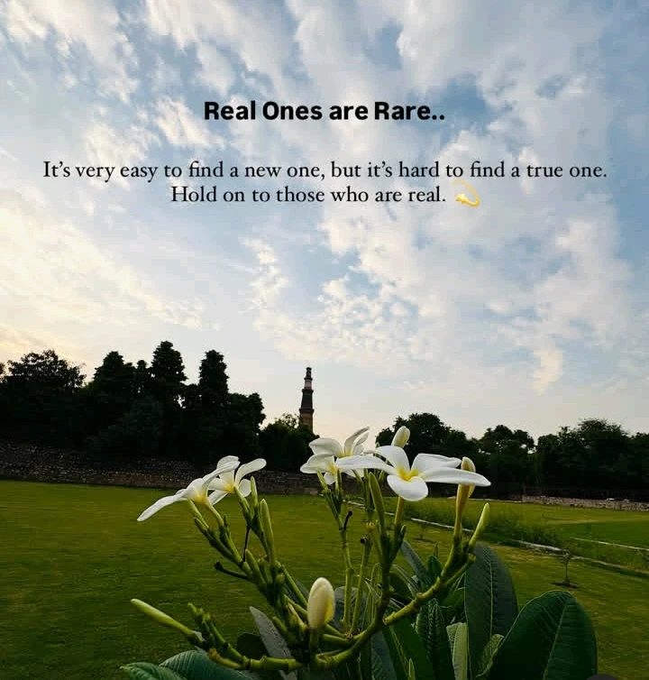 GIF uploaded by Tanwi