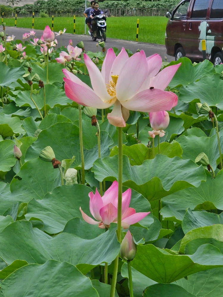 GIF diunggah dening Nadiah