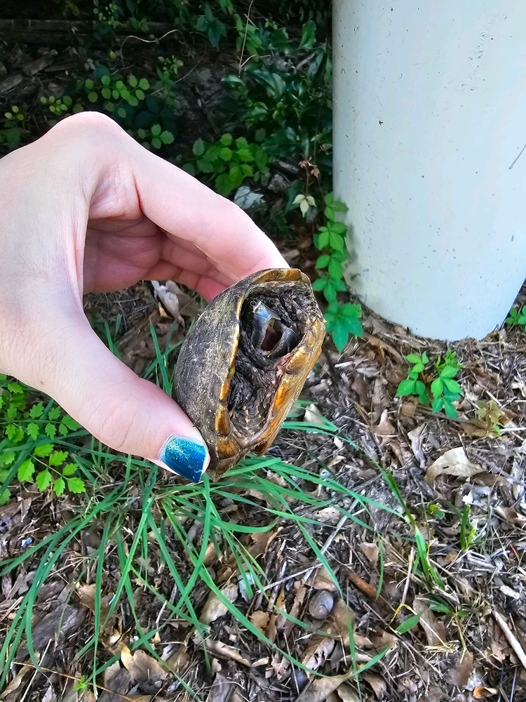 GIF uploaded by Diane