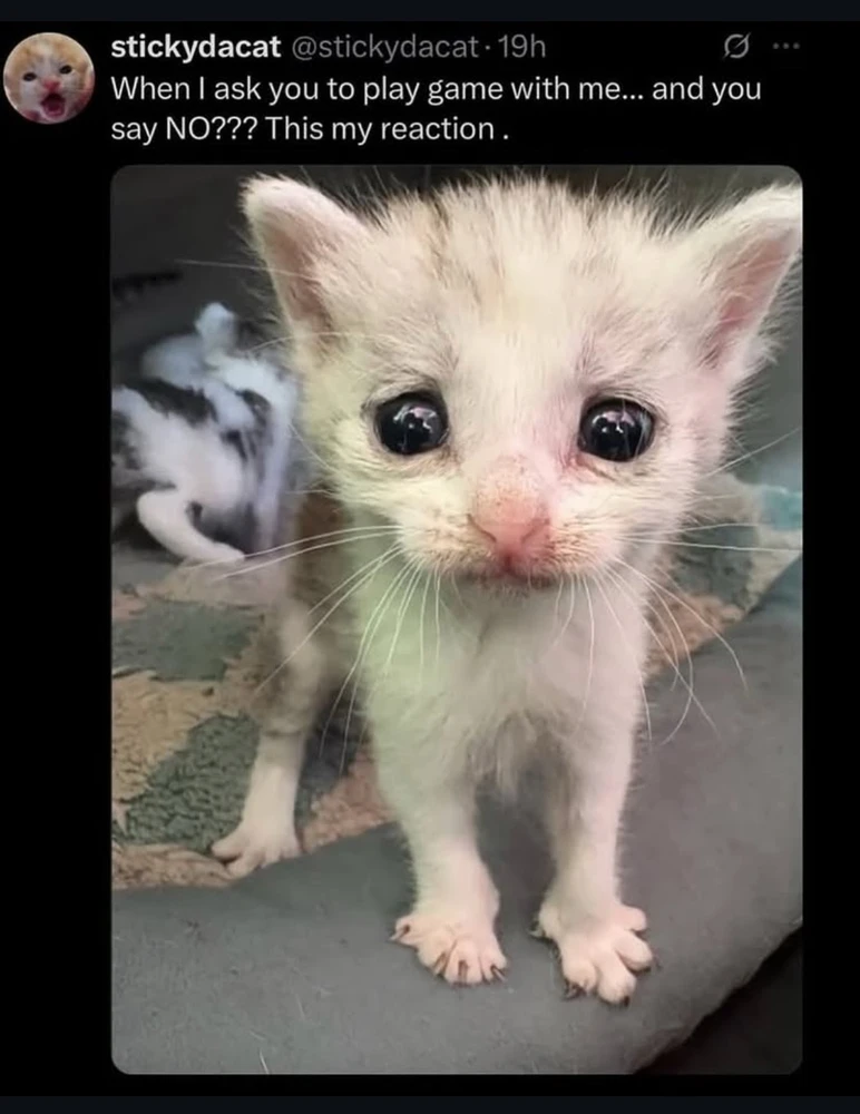 GIF hochgeladen von Tina