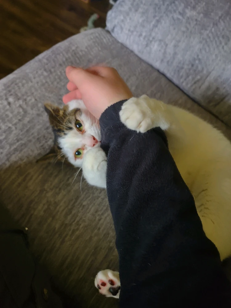 When I really want to cuddle...