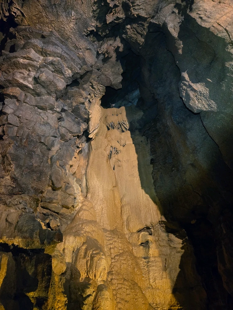 Image uploaded by Brennon