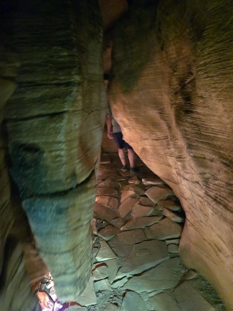 Image uploaded by Brennon