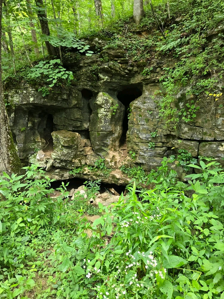 Image uploaded by Brennon