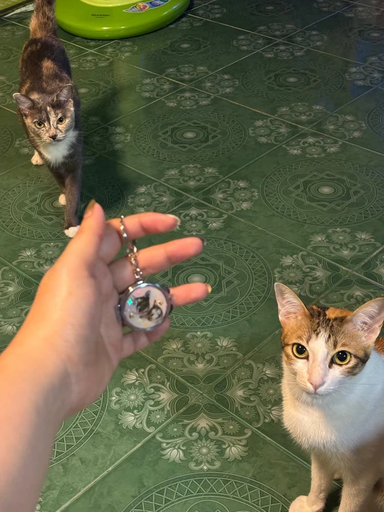 Image uploaded by Pat♡