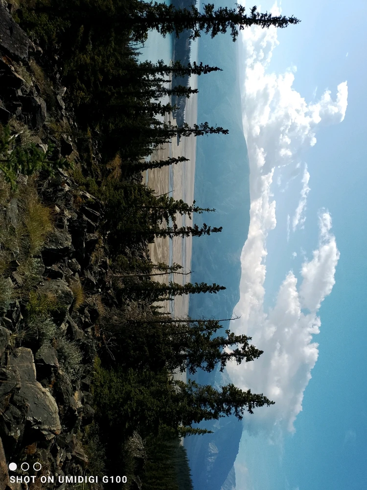 Image uploaded by Jamie