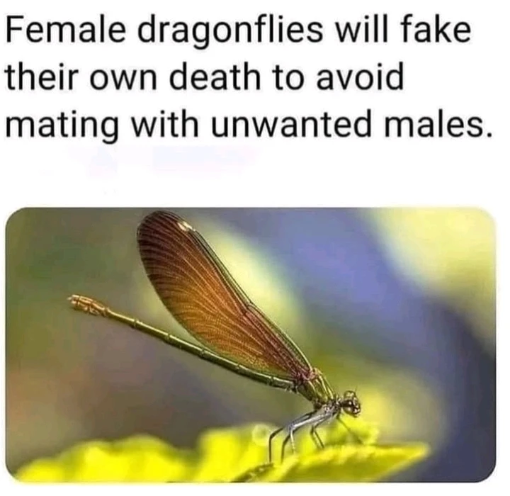 Зображення завантажив Natalia🦇