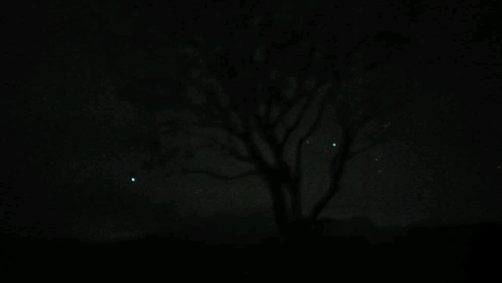 GIF uploaded by Niel Ivan Joshua