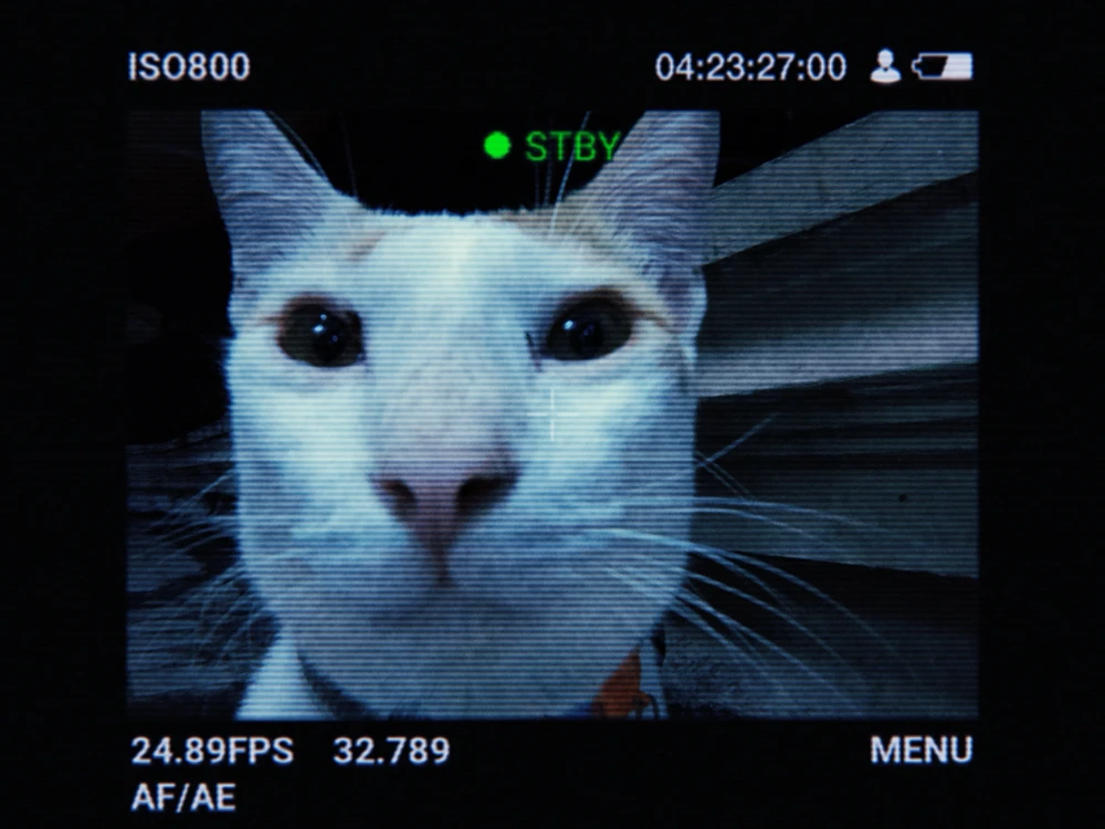 GIF diunggah oleh RB