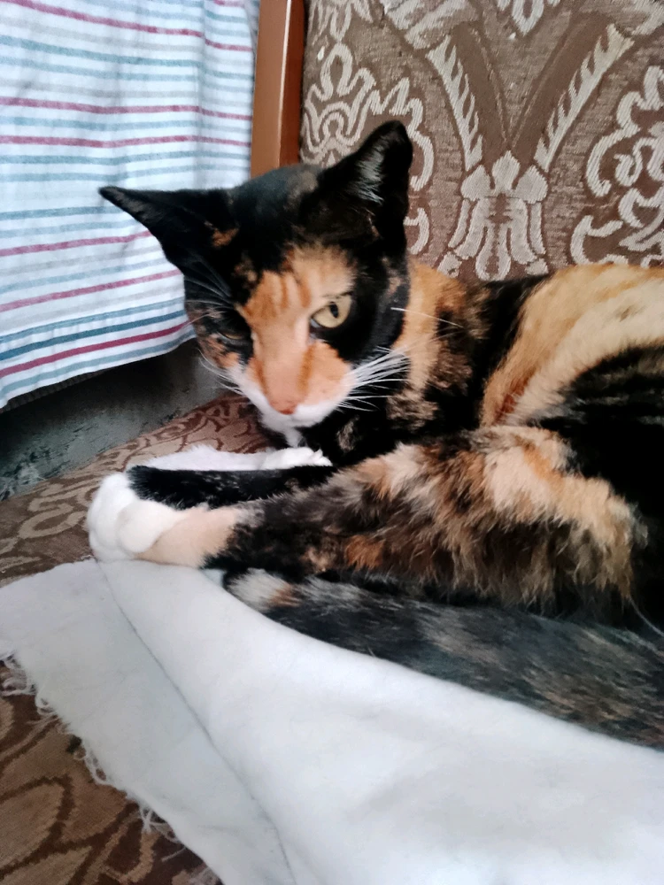 Imagem enviada por Renan