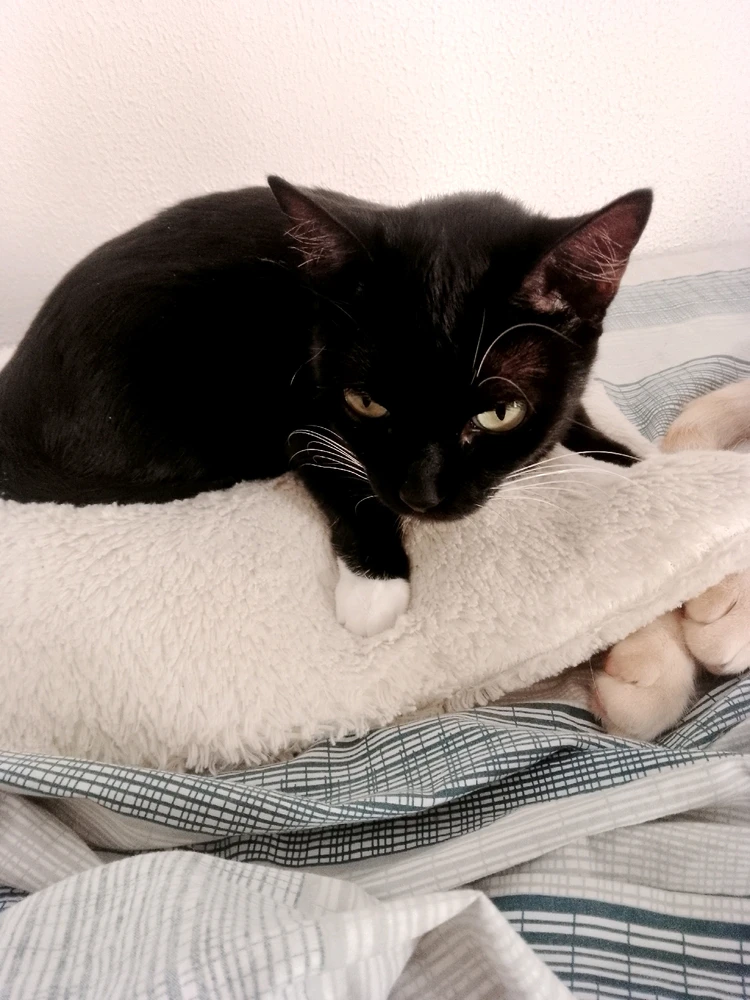 Imagem enviada por Renan