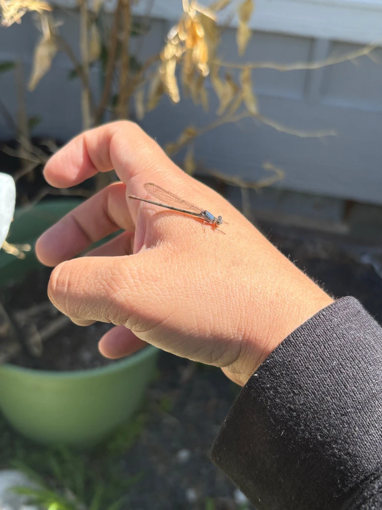 GIF diunggah dening Jackie