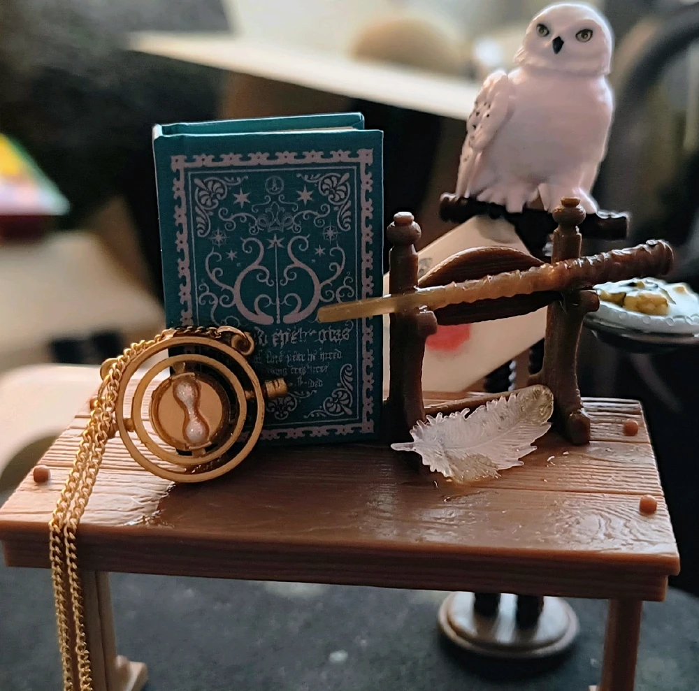Hermione's class table and Hedwig 😁