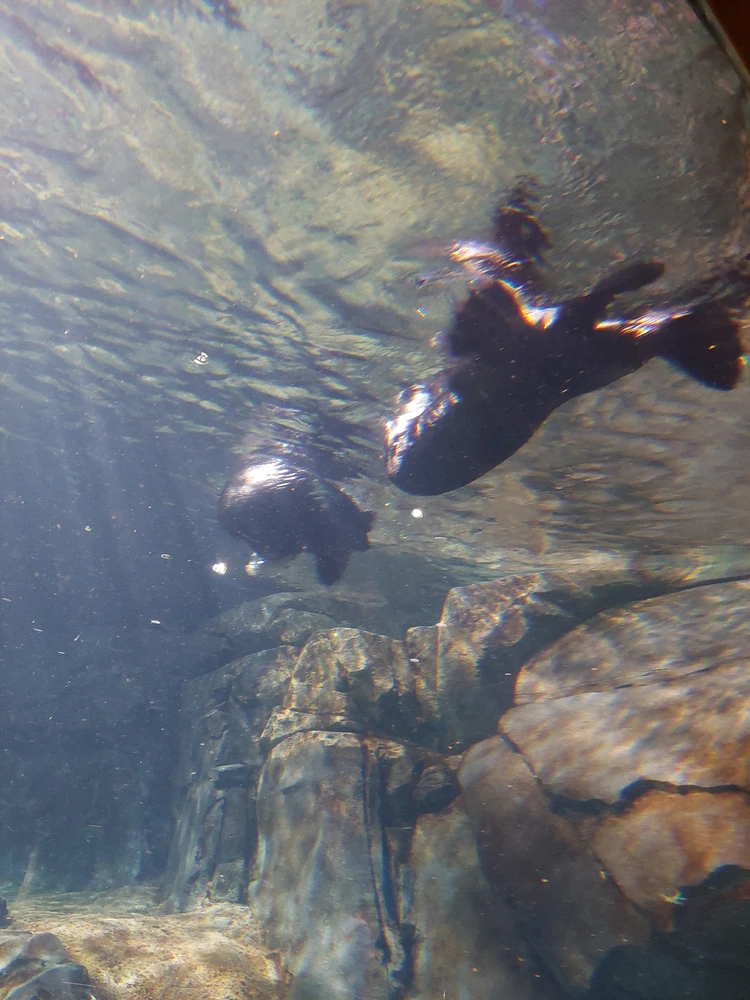 GIF diunggah dening Jonathan