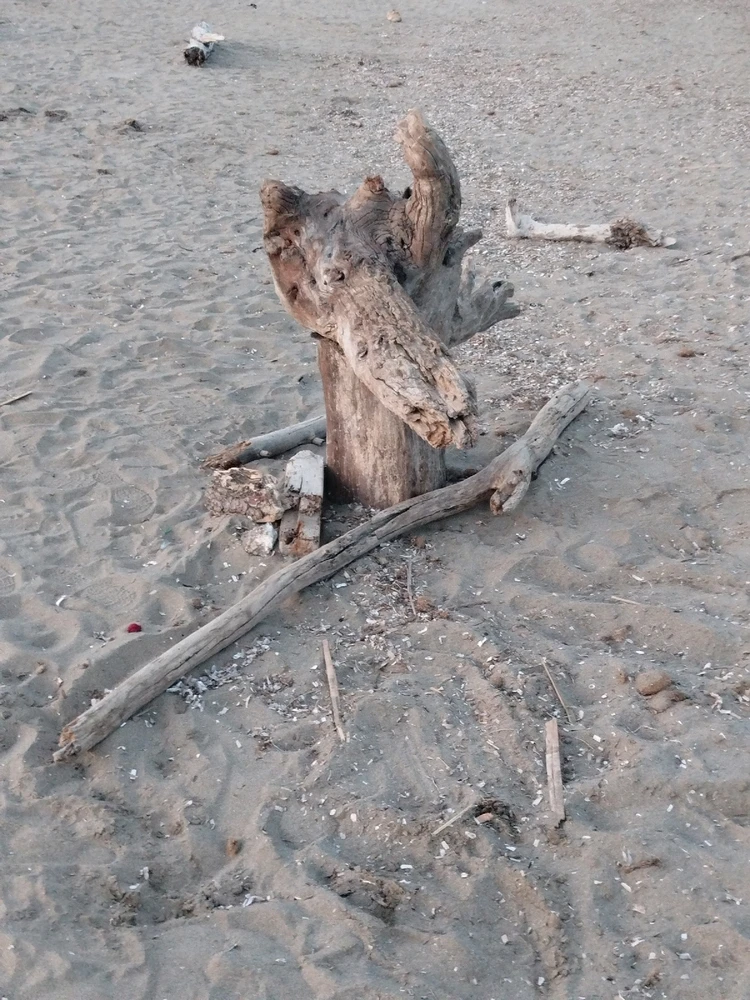 Immagine caricata da Fabiola