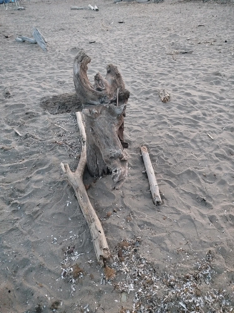 Immagine caricata da Fabiola