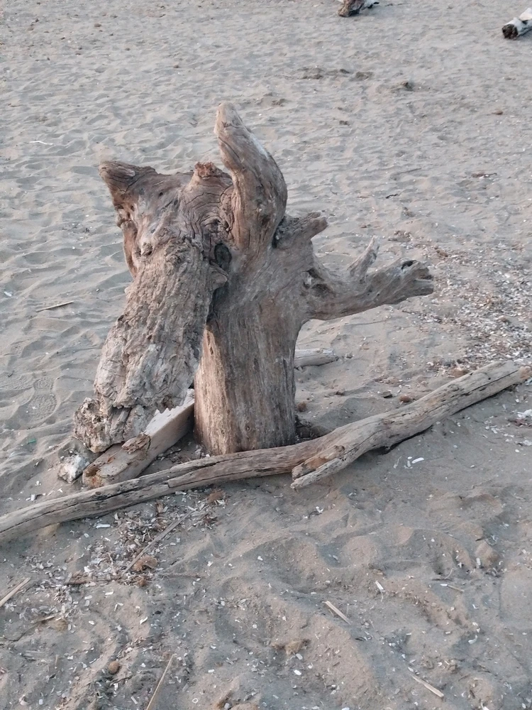 Immagine caricata da Fabiola