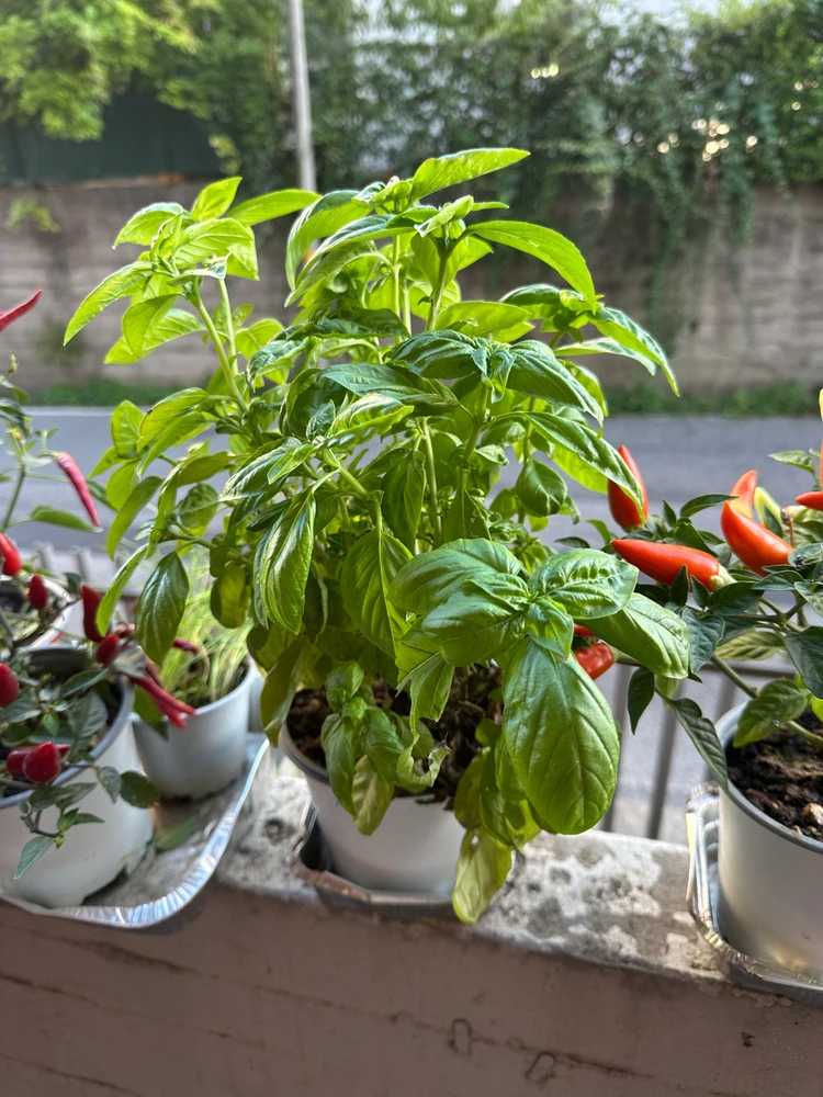 Image uploaded by Michele