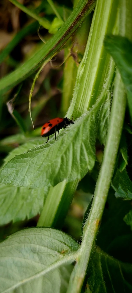 GIF subido por Robert