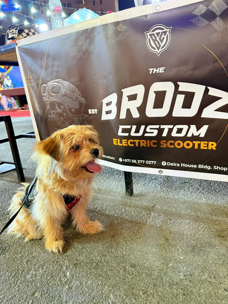 Image uploaded by Kate