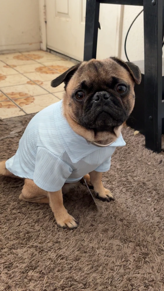 Image uploaded by AD