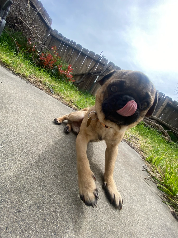 Image uploaded by AD