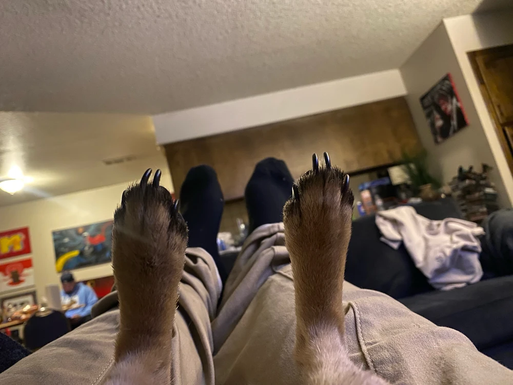 Image uploaded by AD